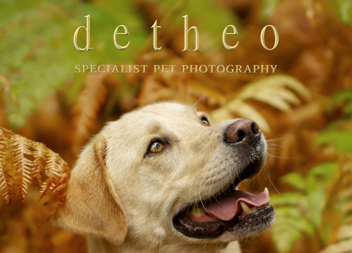 Detheo Magazine Cover