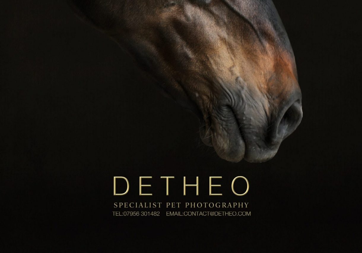Detheo Photography Magazine Cover image with horses head on a dark background.